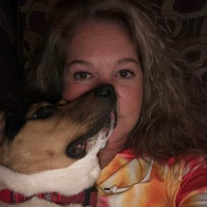 Meet your Posher, Dawn